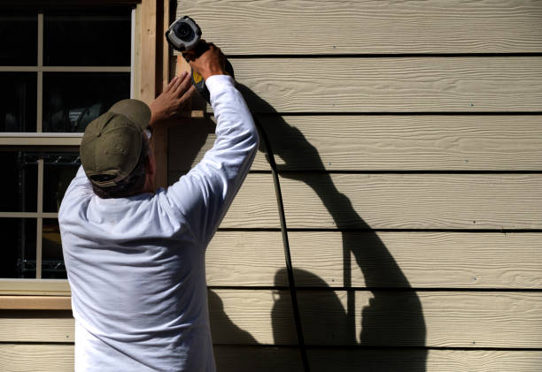 Best Historical Building Siding Restoration  in Valrico, FL